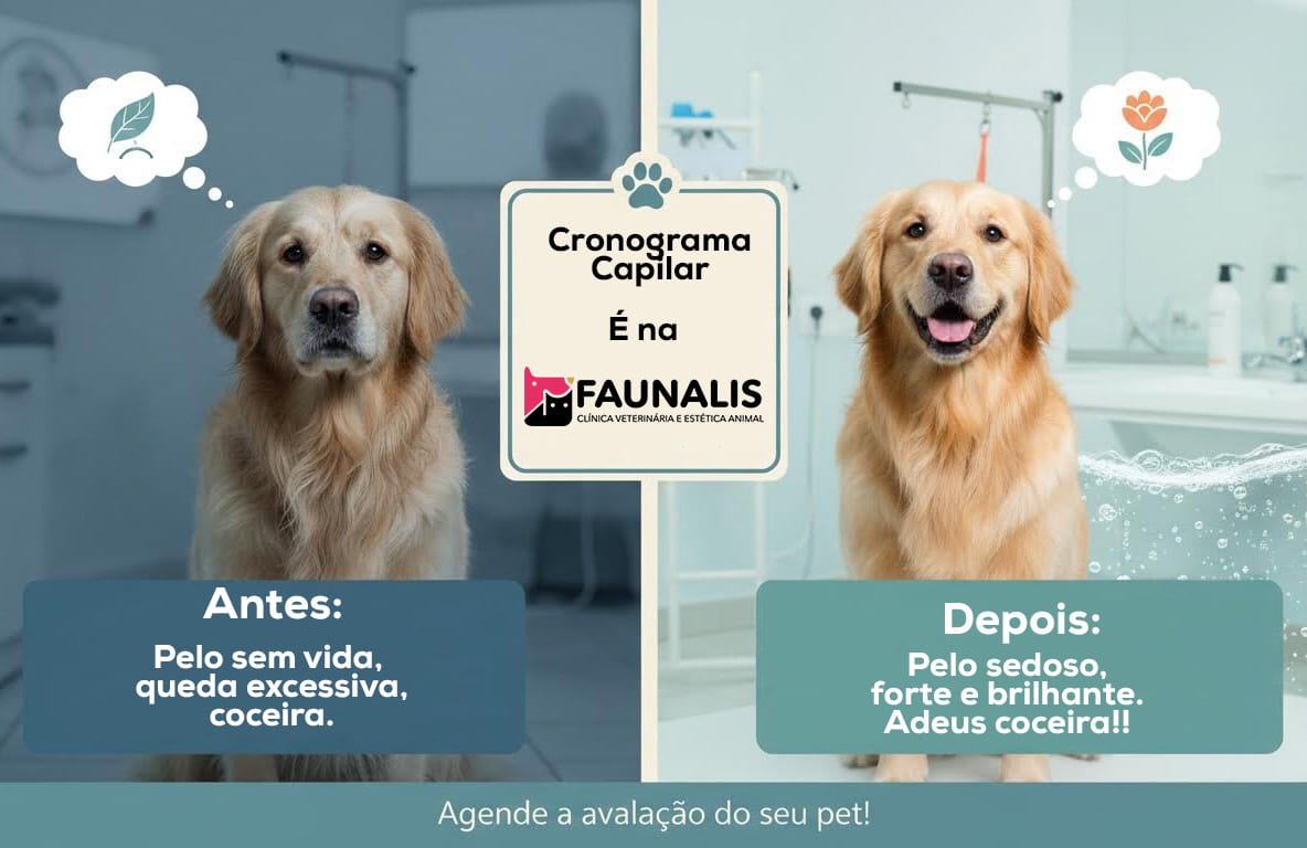 Cronograma capilar é na FAUNALIS